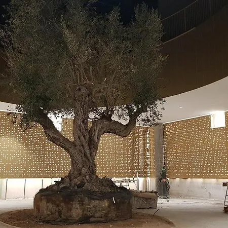 Leon - Vista Al Mar - Intempo Sky Lejlighed *